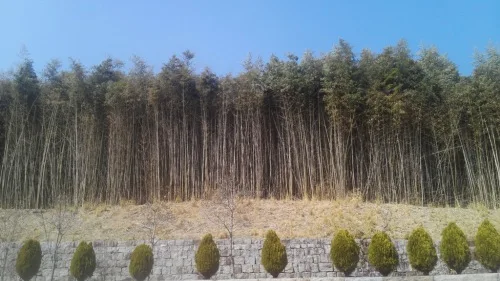 숙소 사진