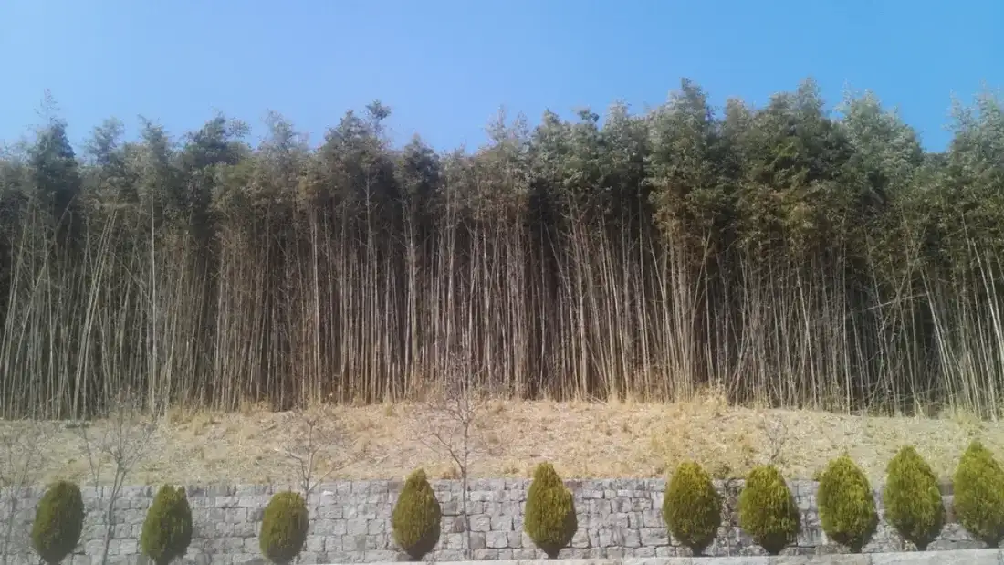숙소 사진