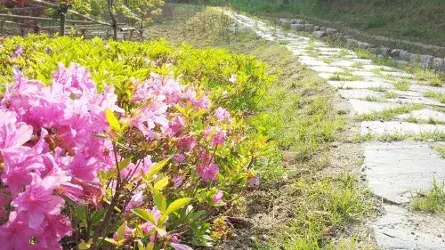 숙소 사진